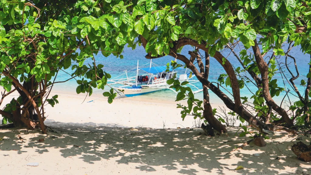The Black Island Beach in Busuanga, Philippines